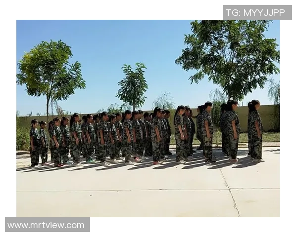 飞盘之路：王丽分享她的成长与挑战经历